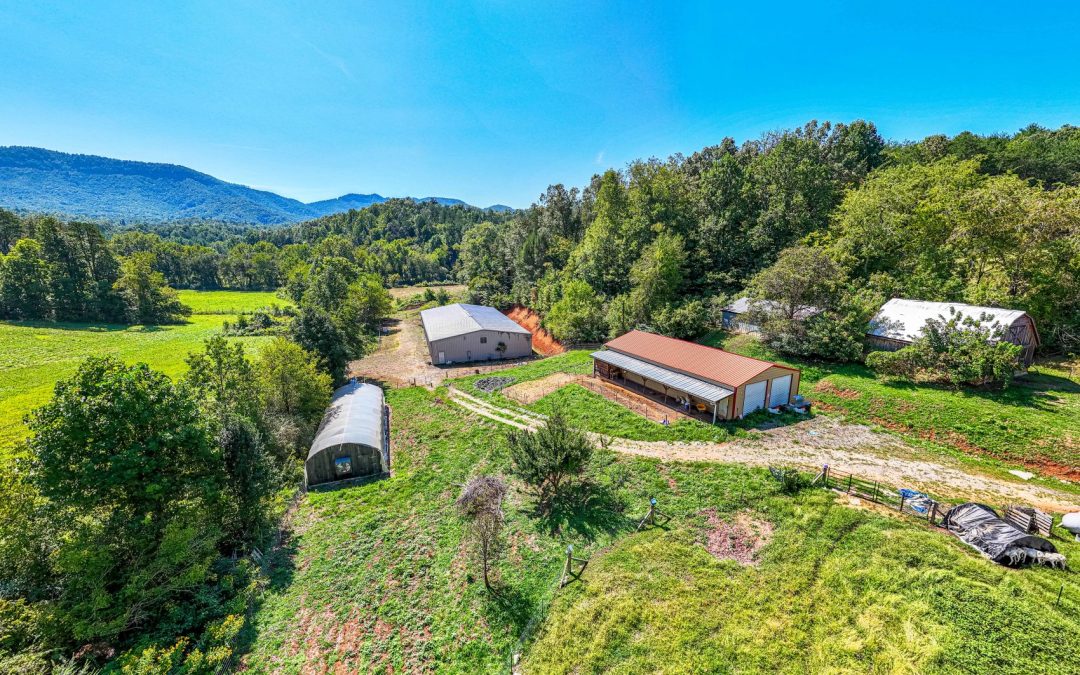 43 Acre Organic Farm In the Foothills of WNC