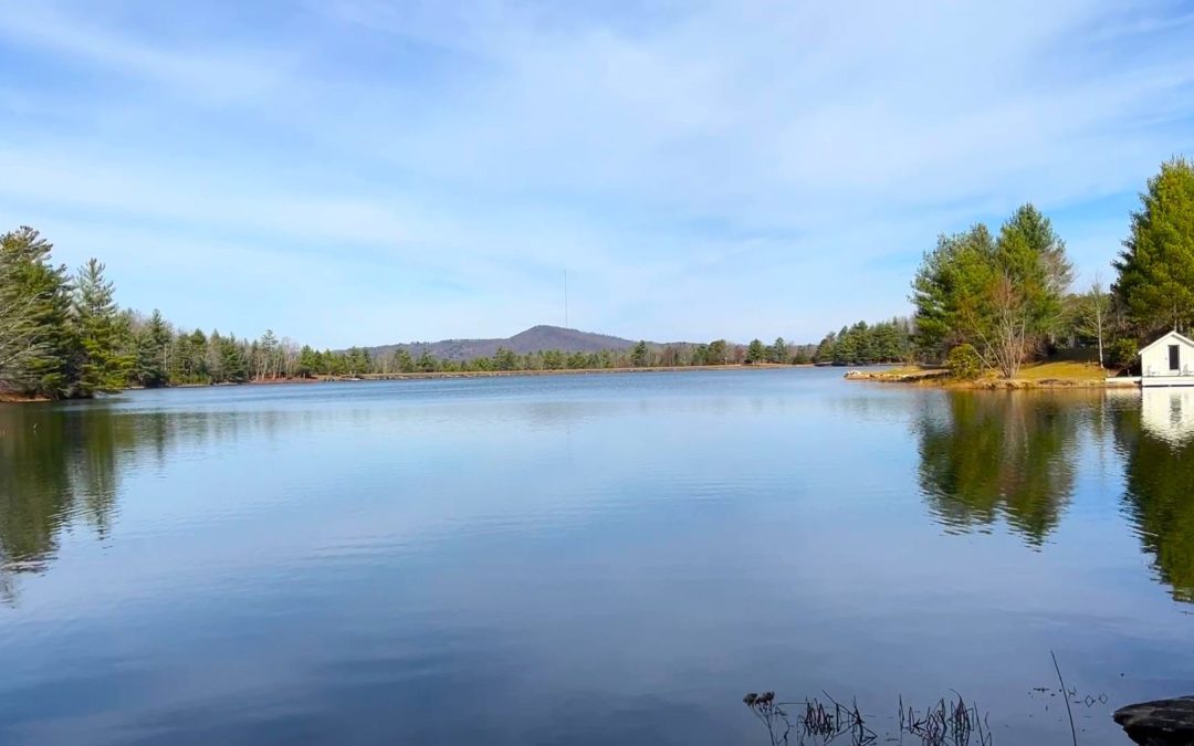 1,201 Acres With Two Lakes