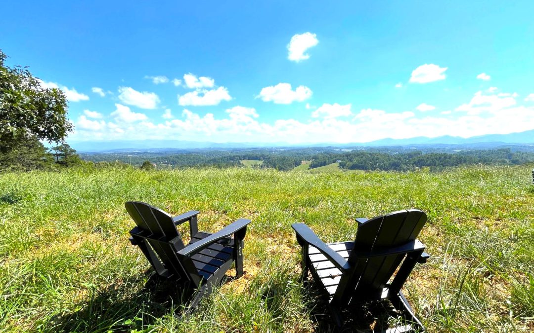 New 36 Acre Farm Listing!